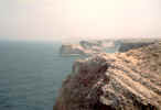 coastline8.jpg (603430 bytes)