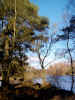 nature00916.jpg (754153 bytes)