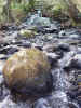 nature01445.jpg (624686 bytes)