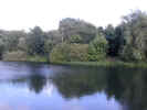 natureriver1374.jpg (598566 bytes)
