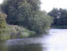 natureriver1375.jpg (697781 bytes)