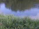 natureriver1379.jpg (695721 bytes)