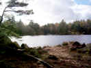 naturewater02874.jpg (433856 bytes)