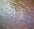 naturewater02878a.jpg (487123 bytes)