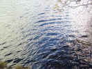 naturewater02885.jpg (446742 bytes)