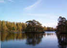 naturewater02956.jpg (287625 bytes)