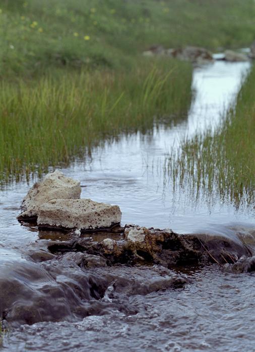 Free Stock Photo: Babbling brook flowing through reeds and rocks in a lush green country valley in a scenic nature background of a natural resource
