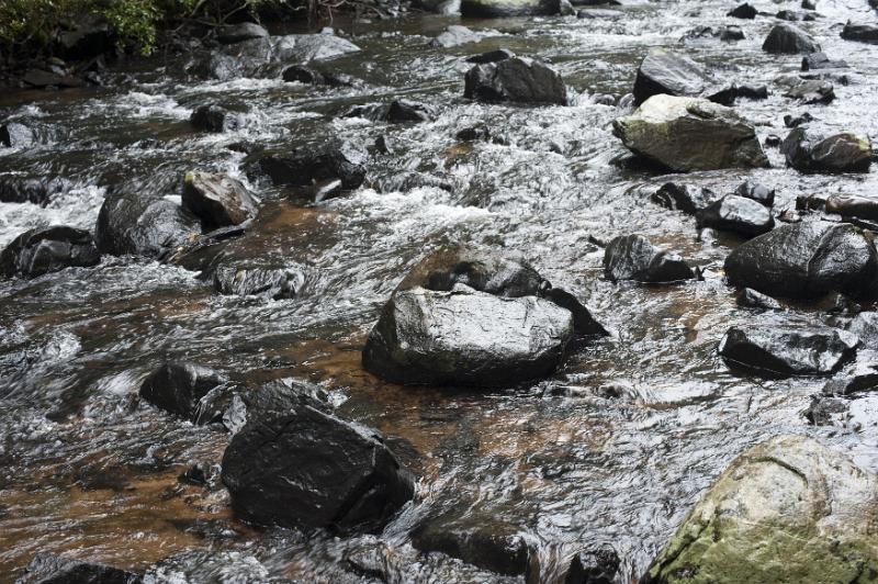Free Stock Photo: water flowing down a small river of brook over rocks