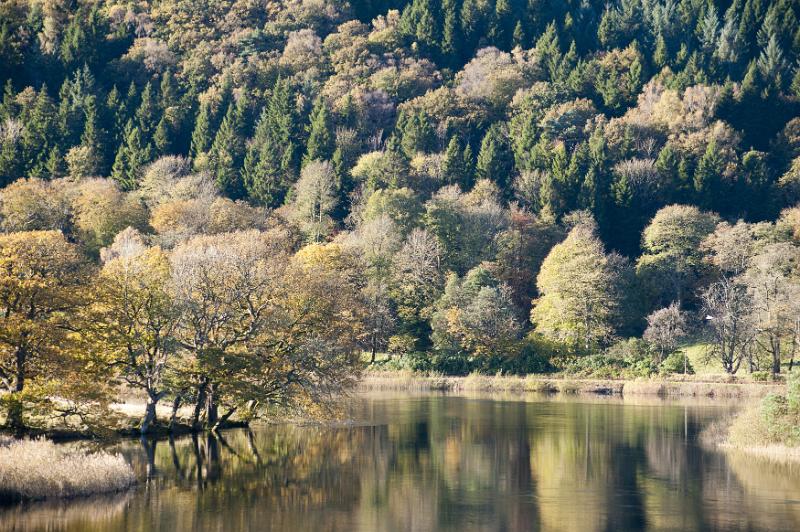 Free Stock Photo: Scenic tranquil lake landscape with autumn trees reflected in the still calm water with a forested mountain slope behind, beauty in nature