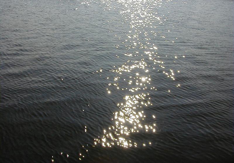 Free Stock Photo: Glittering path of sparkling sunlight reflecting off the surface of the water in a calm ocean in a full frame background