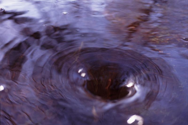 Free Stock Photo: Whirlpool or vortex created by water draining down a pipe or plug hole with concentric ripples on the surface