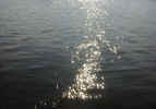 water04090063.jpg (470056 bytes)