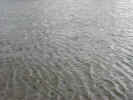 water04090070.jpg (373730 bytes)