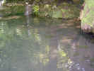 watershadypond02054.jpg (530417 bytes)
