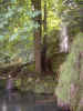 watershadypond02055.jpg (668624 bytes)