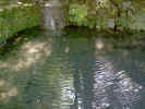 watershadypond02057.jpg (628626 bytes)