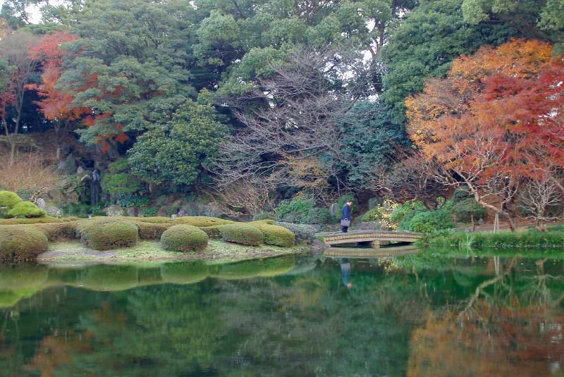 Free Stock Photo: autumn colours and reflectons in a fromal park garden