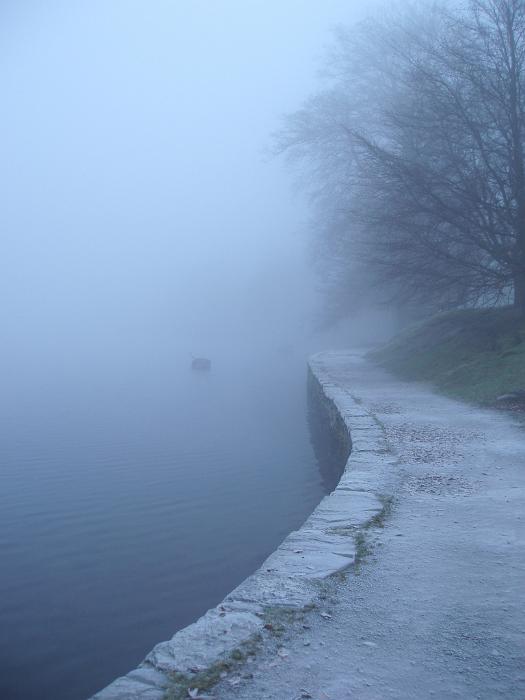 Free Stock Photo: disappearing landscape, the side of a lake shrouded in mist