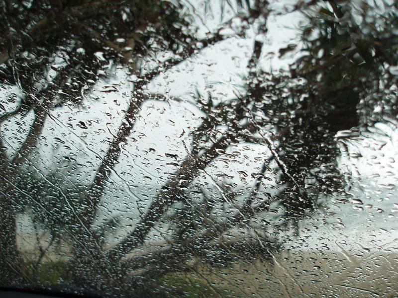 Free Stock Photo: looking out of the car on a wet and miserable weekend