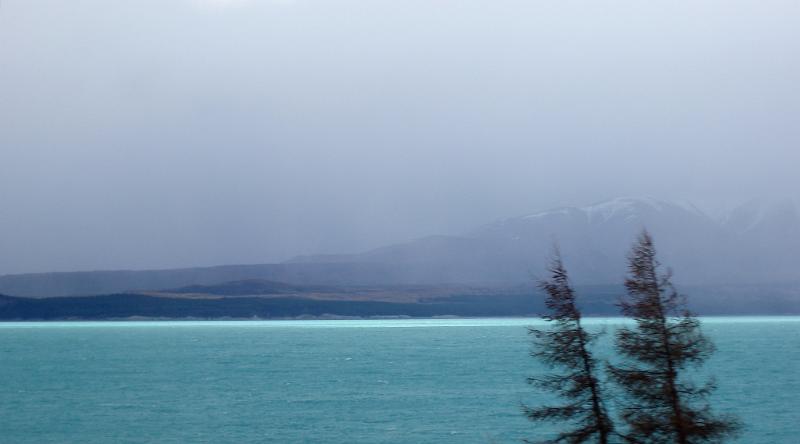 Free Stock Photo: wind blows trees on the side of lake tekapo, a stormy day in new zealand