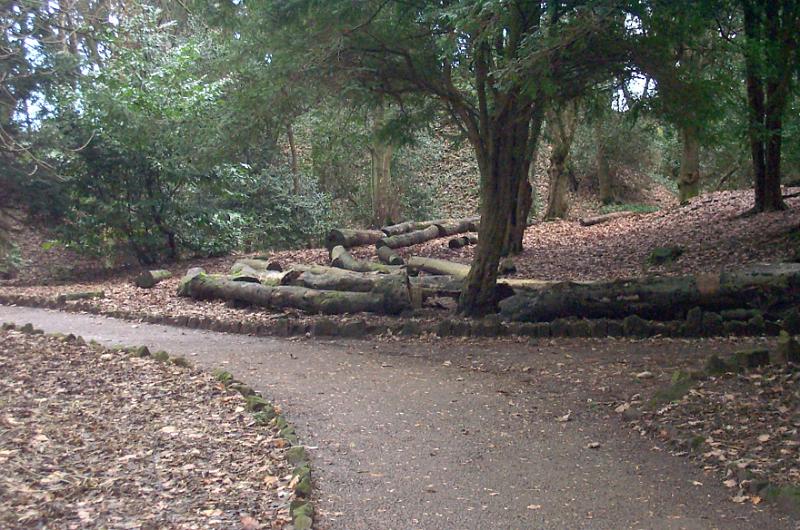Free Stock Photo: Path curving through past trees and felled logs in a public wooded park for people who wish to enjoy nature