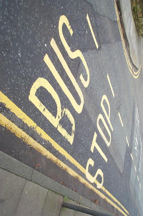 Free Stock Photo: Bus Stop sign on the asphalt in yellow letters, marking the place on the road for public transport stops
