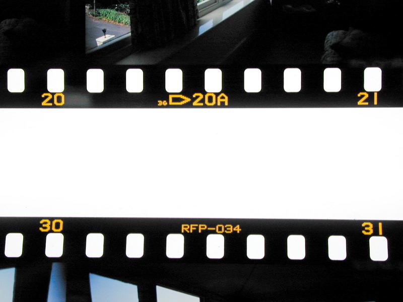 Free Stock Photo: A close up of two negative film strips on a white background with copy space.
