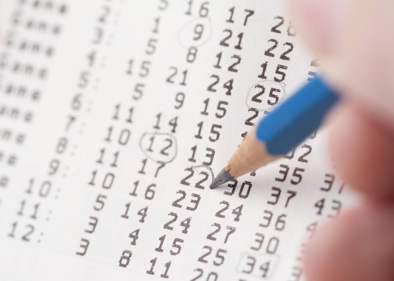 Free Stock Photo: Person selecting numbers on a lottery draw card ringing them with a pencil in a close up view on the nib