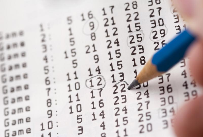 Free Stock Photo: Person ringing their selection of lottery numbers with a pencil on a draw card in a close up on the pencil nib