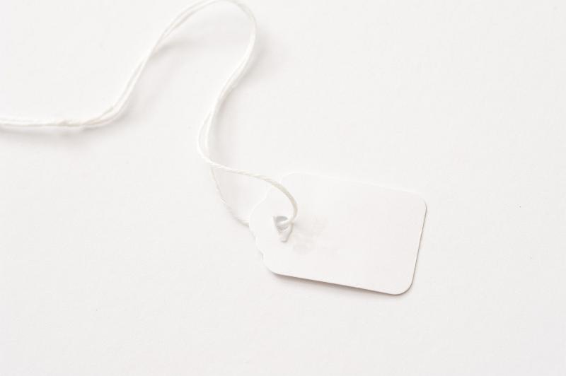 Free Stock Photo: White blank price tag or label with long string over a matching white background with copy space