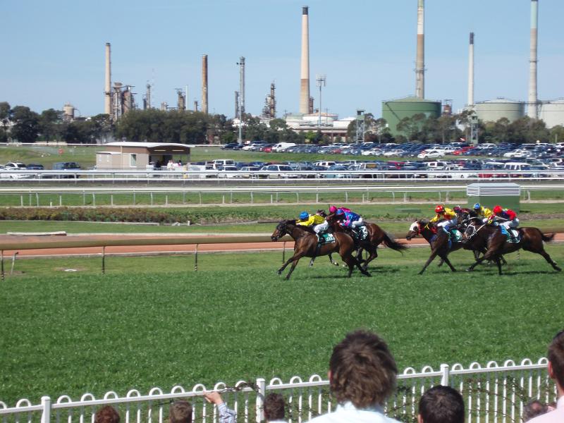 Free Stock Photo: a day at the horse races, sydney rose hill