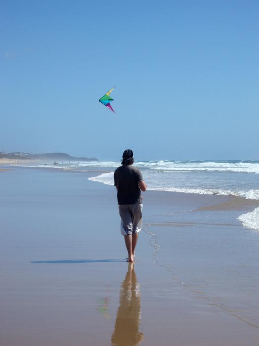 Free Stock Photo: wind power hobby, flying a kite on the beach