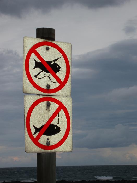 Free Stock Photo: signs prohibiting spear and line fishing
