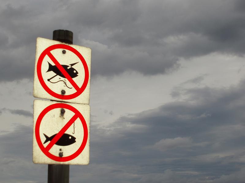 Free Stock Photo: two signs marking a no fishing area against a backdrop of storm clouds