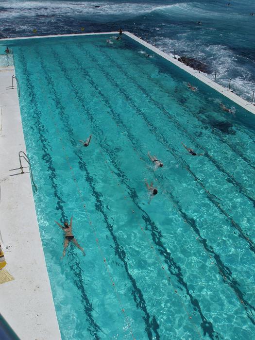 Free Stock Photo: swimmers swimming lengths of an outdoor pool, sydney, australia