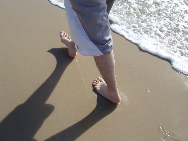 Free Stock Photo: a leisurely walk along a sandy beach in summer