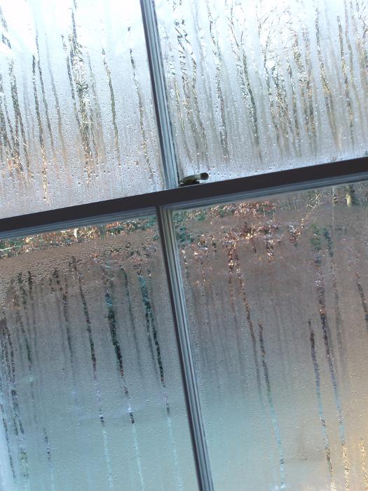 Free Stock Photo: condensation on a window, trapped or stuck indoors in cold damp weather