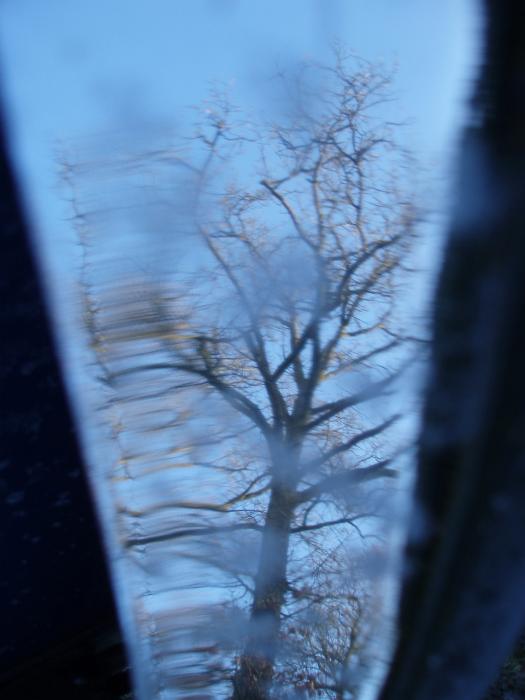 Free Stock Photo: reflection on frosty metal of a winter tree and blue sky