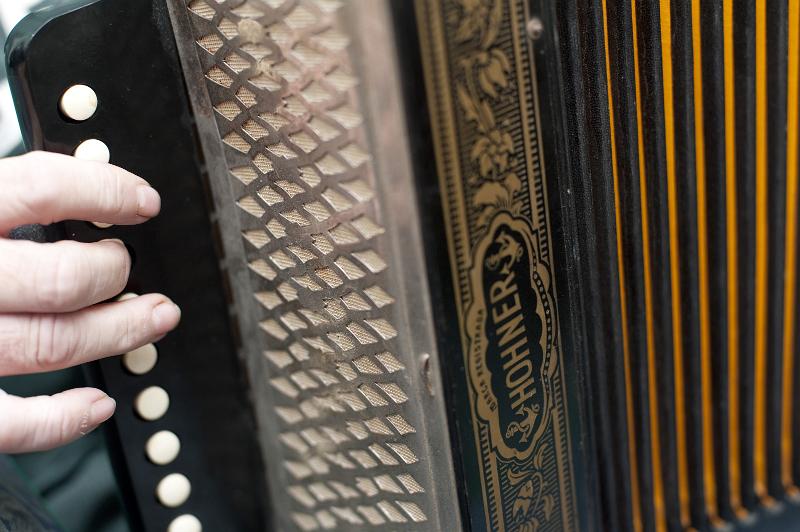 Free Stock Photo: playing an accordion squeezebox