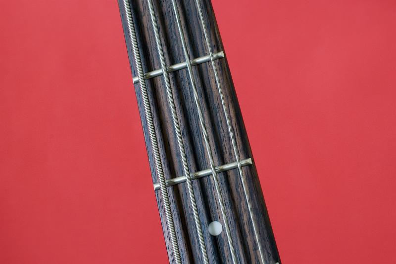 Free Stock Photo: the neck and strings of a bass guitar