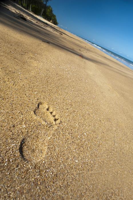Free Stock Photo: footprints in the sand, a walk along a deseted tropical beach