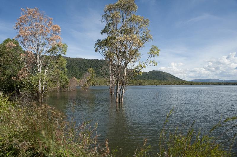 Free Stock Photo: natural beauty, lake and surrounding trees
