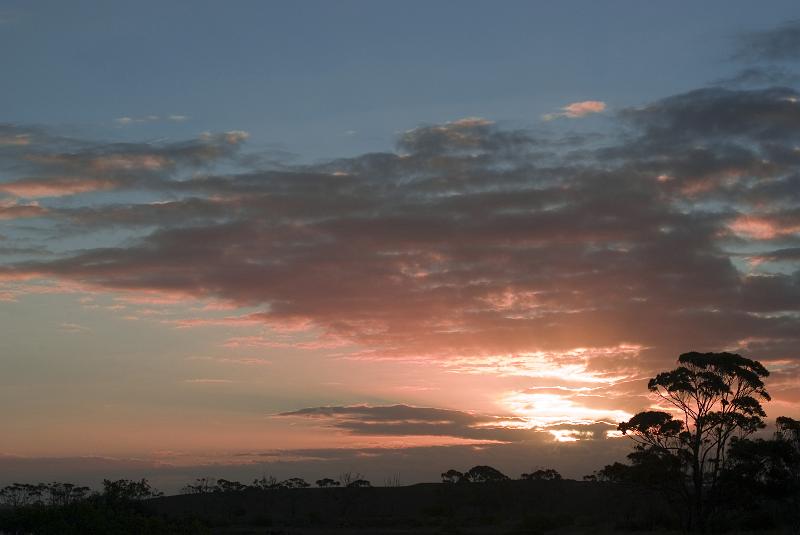 Download image of sunset light Free Stock Photo: idyllic sunset view, salmon pink light fading over silhouetted trees