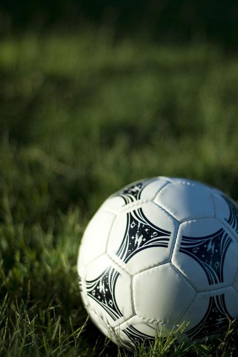 Free Stock Photo: a white leather football sat on a grass background