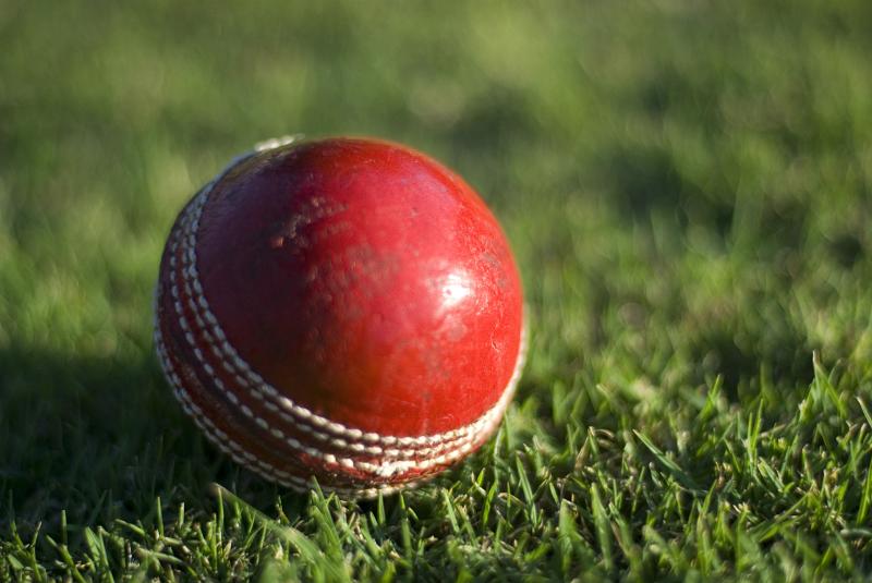 Free Stock Photo: a red leather cricketball on grass