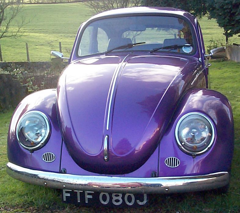 Free Stock Photo: Front view of a colorful purple classic Volkswagen Beetle parked on a green lawn in the country
