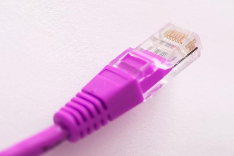 Free Stock Photo: pink colored rj45 ethernet cable concept of female or gay online services, or cancer related networking