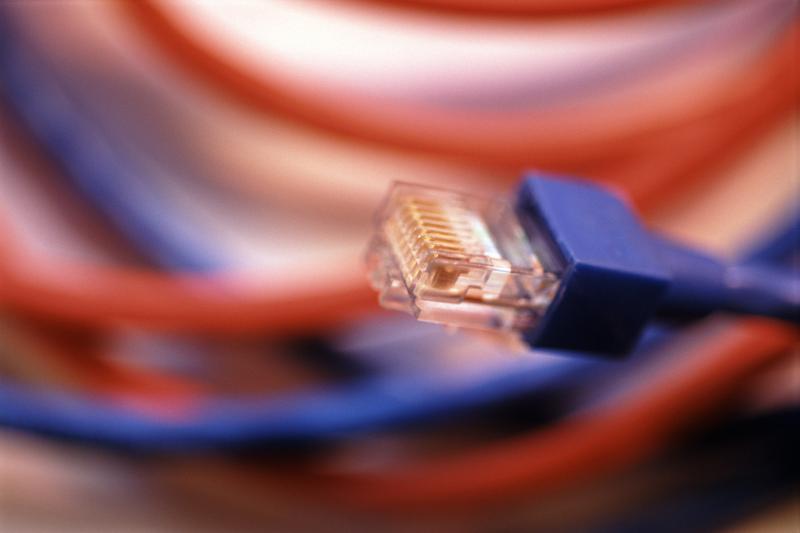 Free Stock Photo: Red and blue ethernet cables and plug with selective focus to the connector for transmission of internet data on a computer in a technology and communication concept