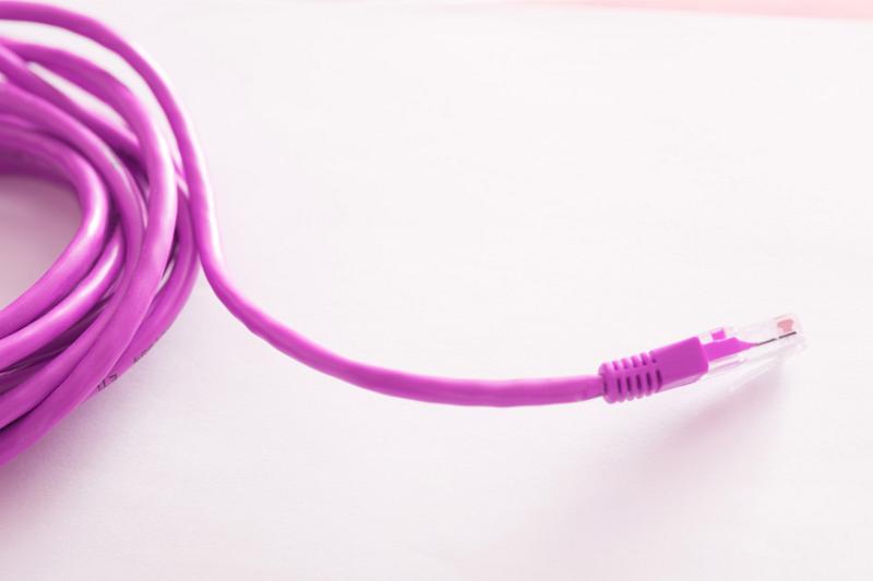 Free Stock Photo: Bright vivid pink computer network cable and plug coiled on a white background with copy space in a communications concept
