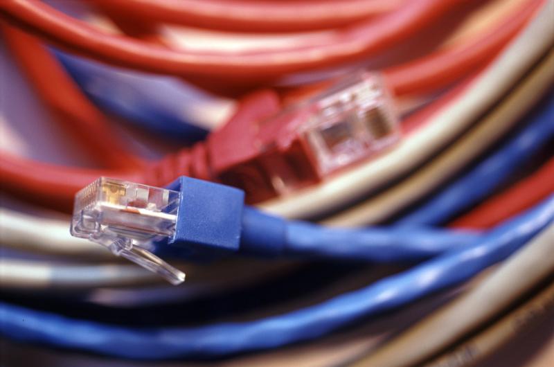 Free Stock Photo: Bundle of red and blue computer cat 5 network cables